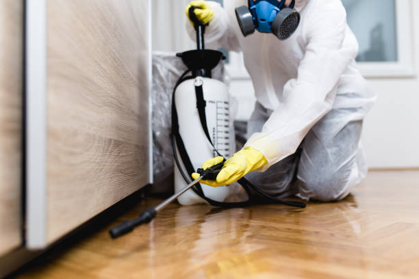 Pest Prevention Services in La Mirada, CA