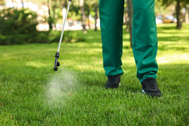 Best Local Pest Control Services  in La Mirada, CA