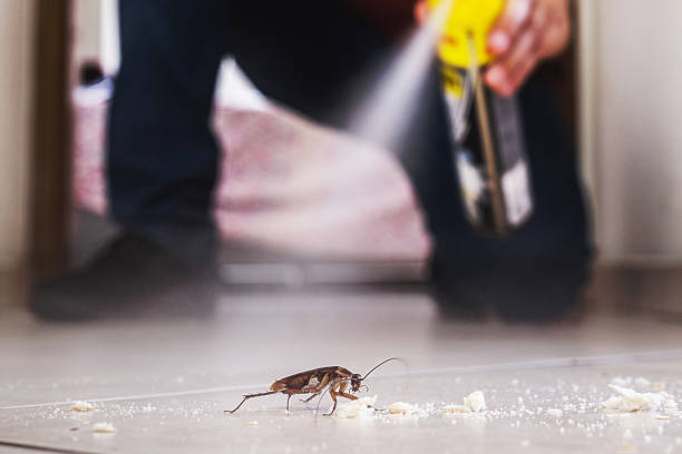 Best Residential Pest Control  in La Mirada, CA