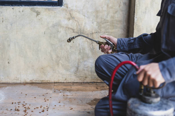 Pest Control for Restaurants in La Mirada, CA